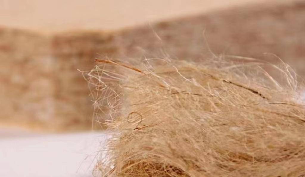 火狐电竞是什么样的黄麻床垫拯救了我的老腰(图1)