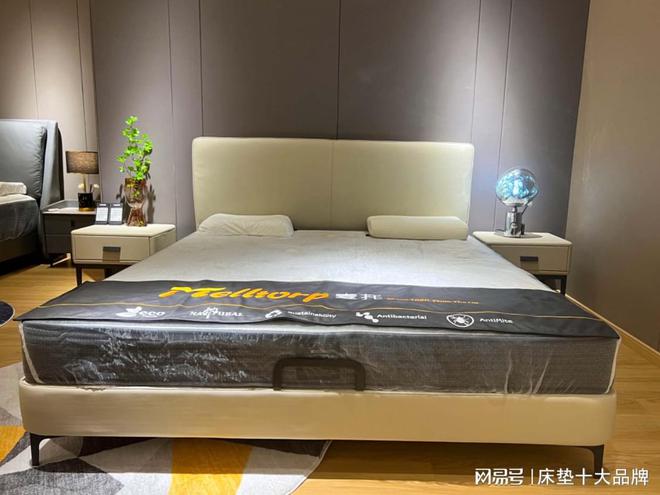 火狐电竞床垫十大品牌排名：选择床垫不迷路(图1)