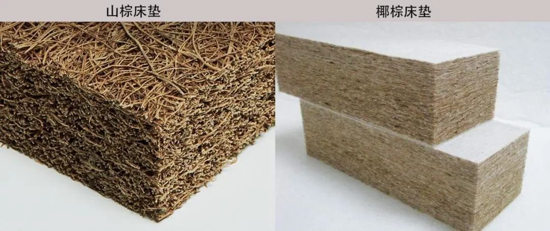 HOME家饰界家居科普：女童睡棕床垫得白血病这事我们捋一捋火狐电竞(图4)
