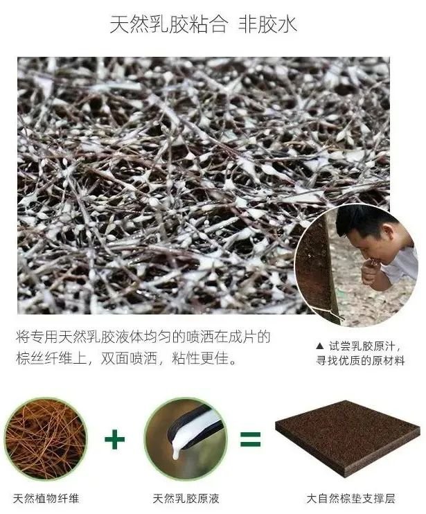 HOME家饰界家居科普：女童睡棕床垫得白血病这事我们捋一捋火狐电竞(图5)