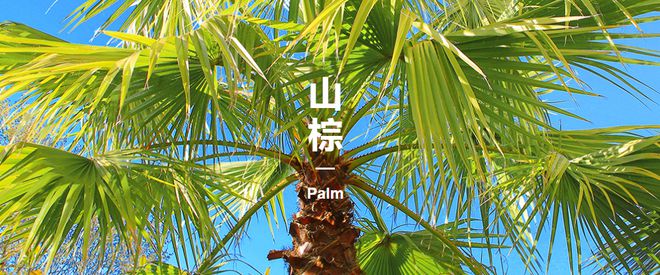 来啦！舟山传火狐电竞媒第一款联名产品是它(图3)