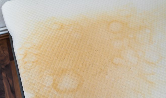 防水又防螨的「金钟罩」床笠家里的床垫火狐电竞终于有救了！(图6)