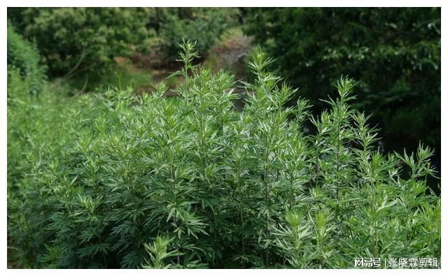 资助的学生断联8年后上门白吃白喝7天火狐电竞临走让我注意床头柜(图14)
