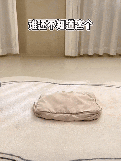 火狐电竞换季收纳新思路：不挂不叠省空间还不皱！(图14)